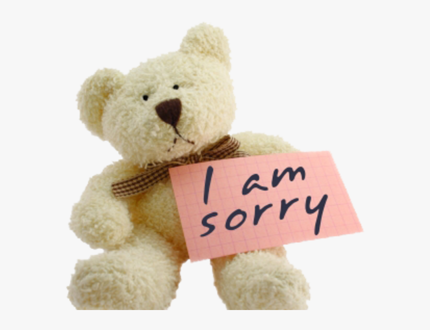 Funny Sorry, HD Png Download, Free Download