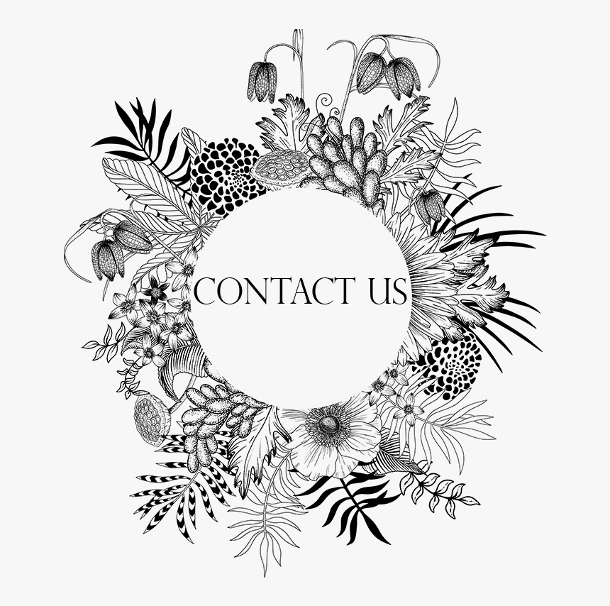 Contact Us - Circle, HD Png Download, Free Download