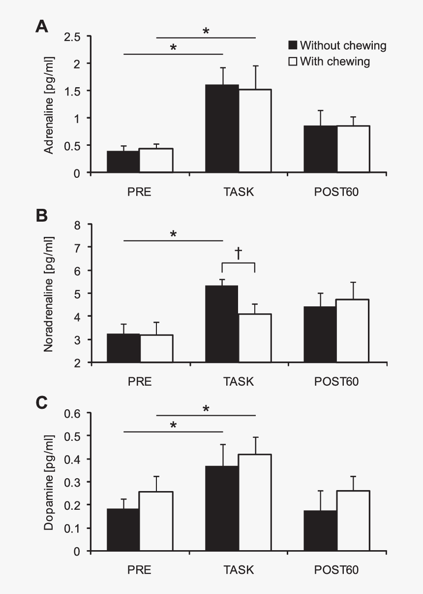 Plasma Dopamine Levels In Rats, HD Png Download, Free Download