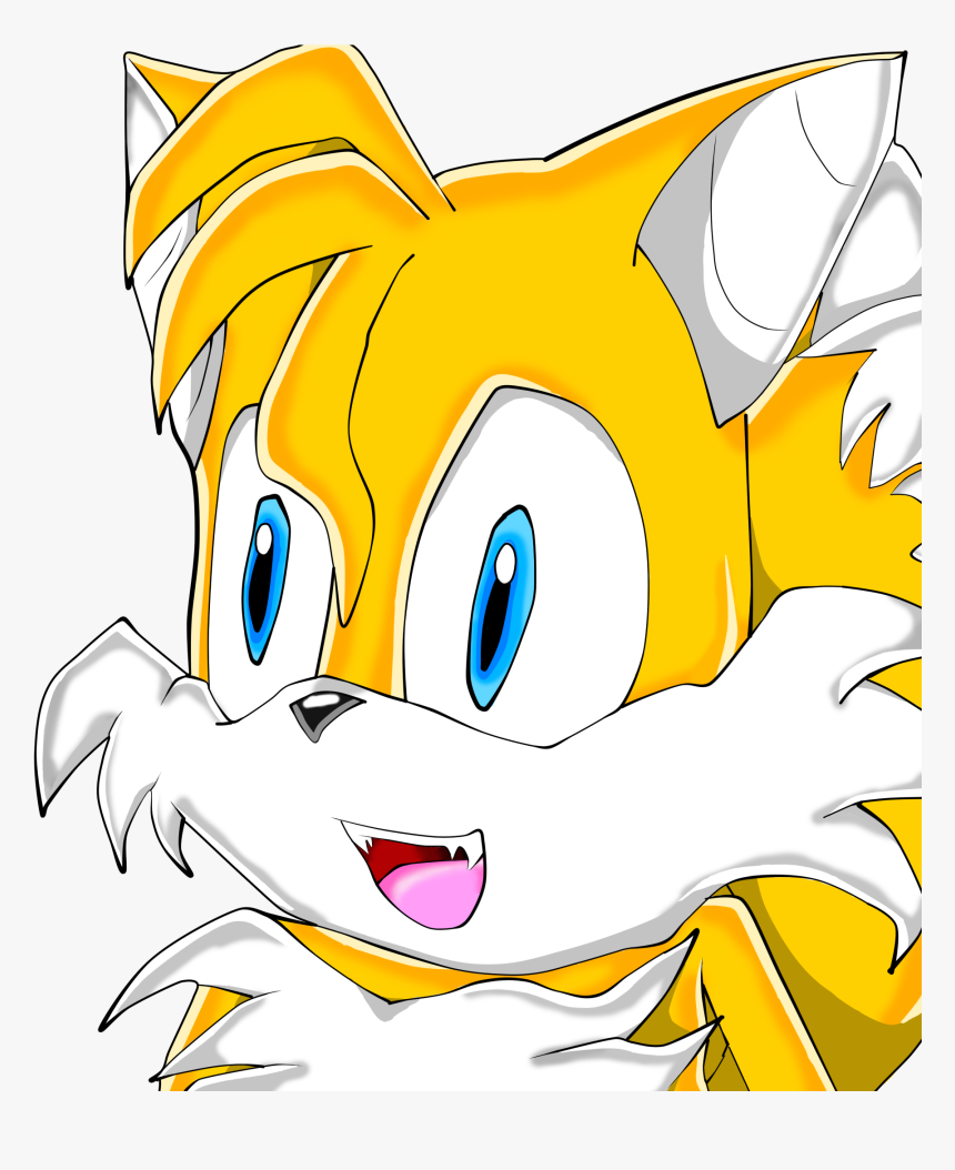 Tail Clipart Sonic Adventure - Cartoon, HD Png Download, Free Download