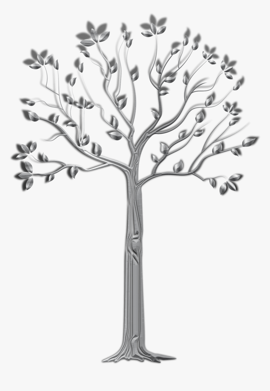 Plane-tree Family, HD Png Download, Free Download