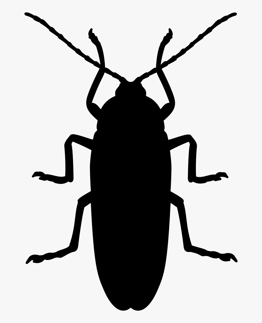 Cockroach Mosquito Beetle Silhouette Pest - Black Cockroach Silhouette, HD Png Download, Free Download