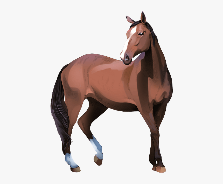 Sorrel, HD Png Download, Free Download