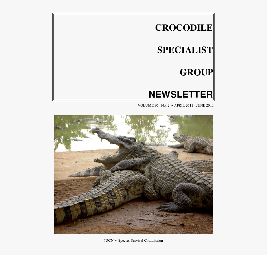 Nile Crocodile, HD Png Download, Free Download