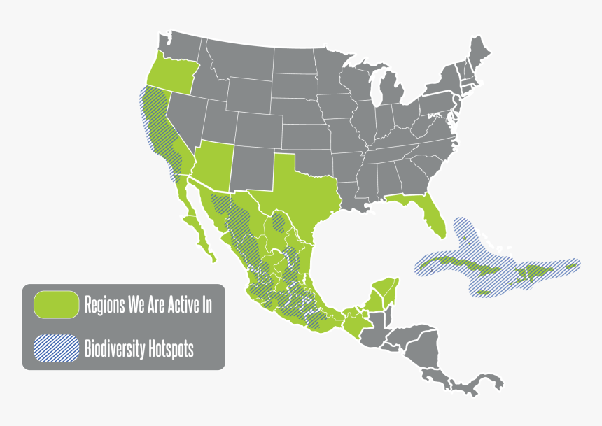 Project Peril In North America Map - Donald Trump Hillary Clinton Map, HD Png Download, Free Download