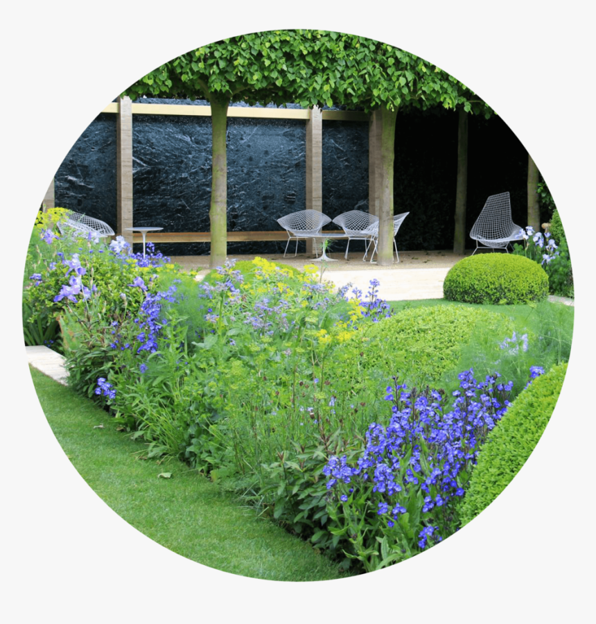 Plant Benefits Divider - Bellflower, HD Png Download, Free Download