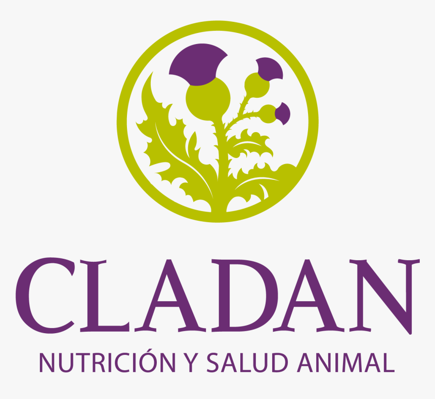 Graphic Design, HD Png Download, Free Download