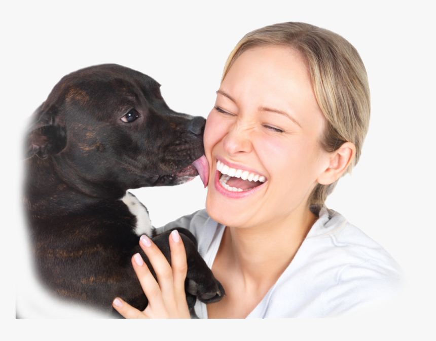 11 Formas Do Cachorr - Dogs Licking Want Your Bones, HD Png Download, Free Download