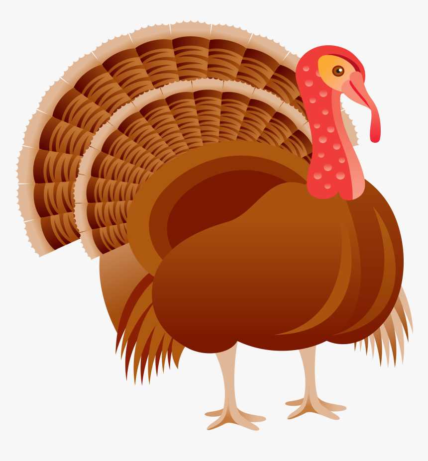 Thanksgiving Greeting Cards Png - Cartoon Transparent Realistic Turkey, Png Download, Free Download