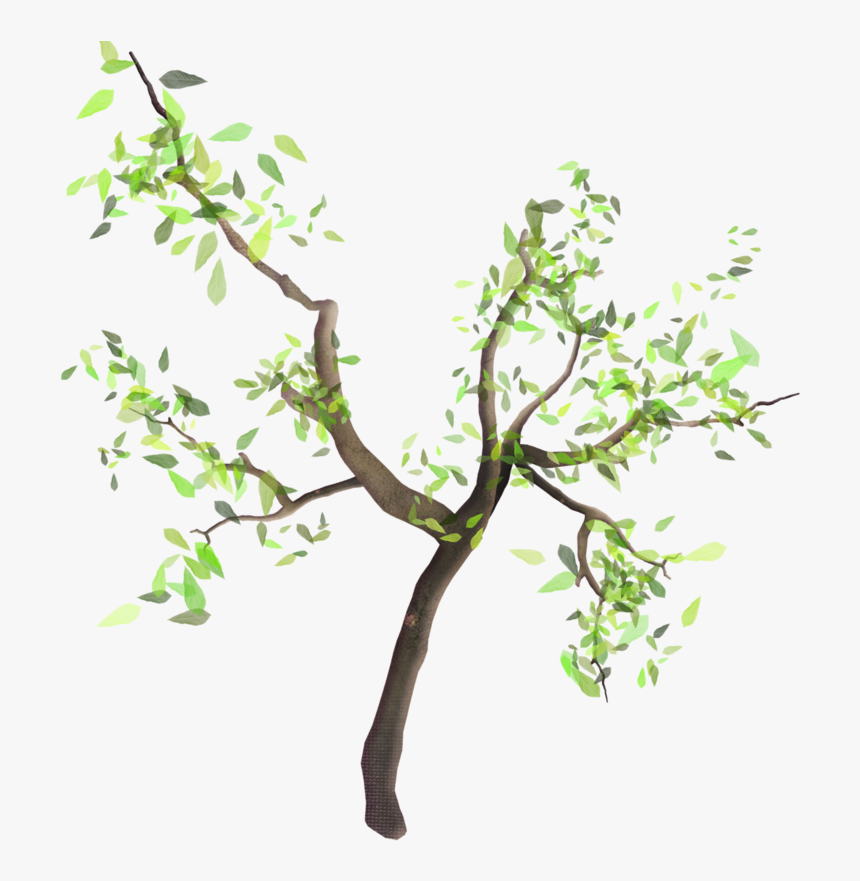 Arbre Avec Branche Png, Transparent Png, Free Download