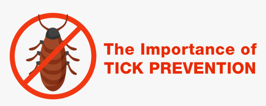 Hypothekarbank Lenzburg, HD Png Download, Free Download