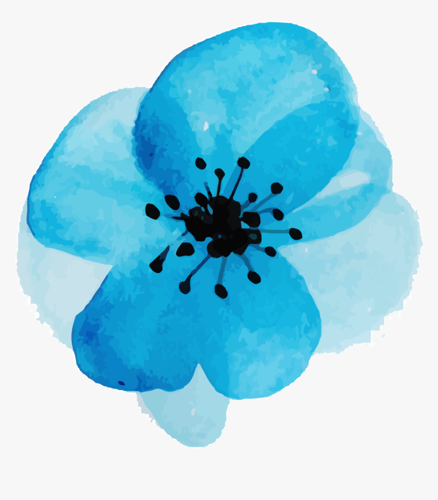Aqua Watercolor Flower Png, Transparent Png, Free Download