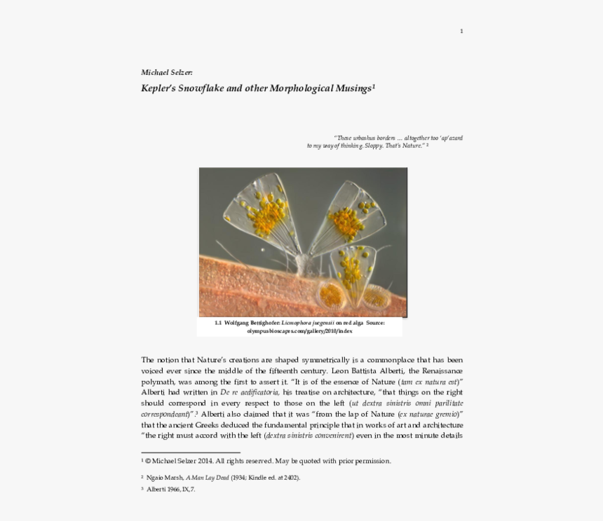 Brochure, HD Png Download, Free Download