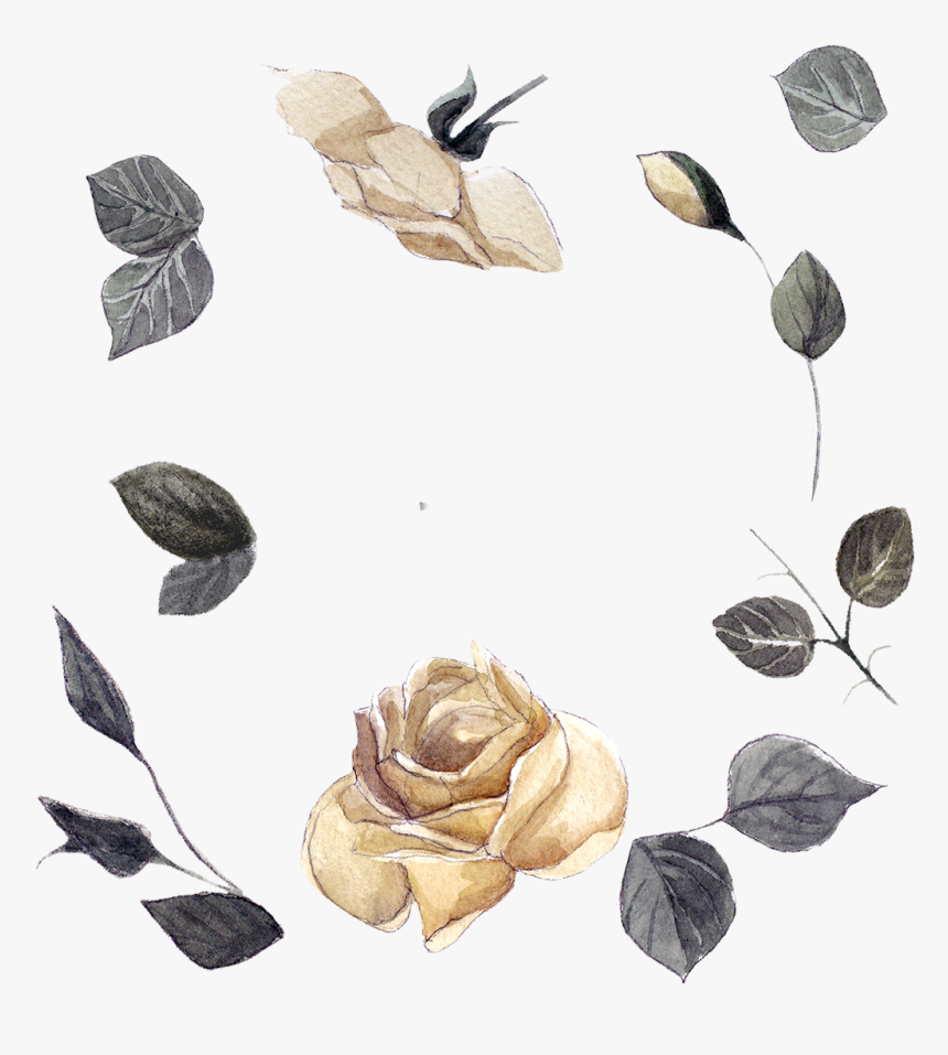 #roses #frame #floatingleaves #flowers #frame #border - Garden Roses, HD Png Download, Free Download