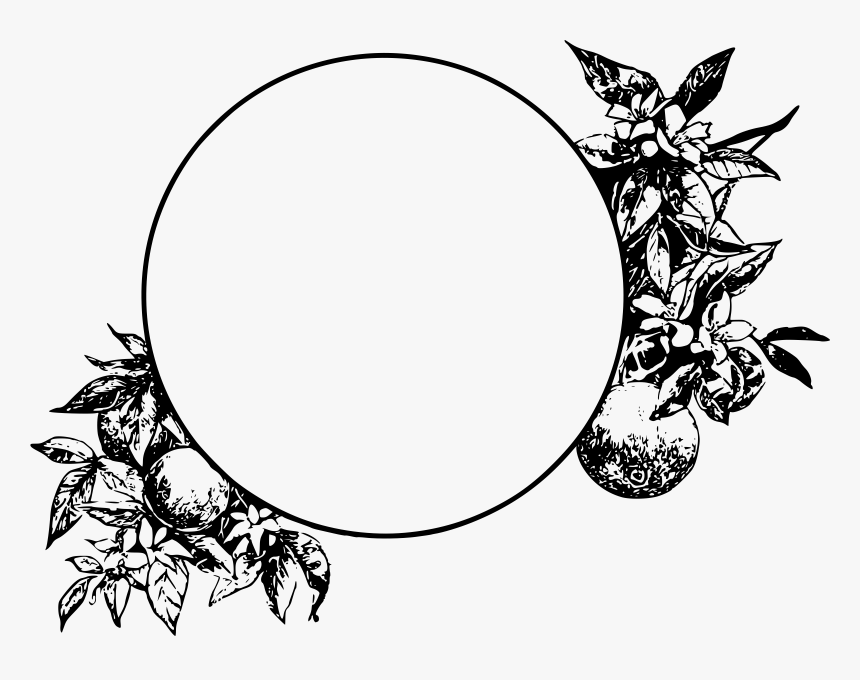 Leaf Drawing Circle For Free Download Png Leaf Circle - Black And White Border Design, Transparent Png, Free Download