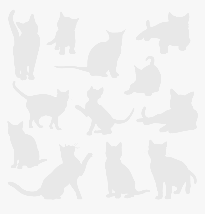 Domestic Short-haired Cat, HD Png Download, Free Download