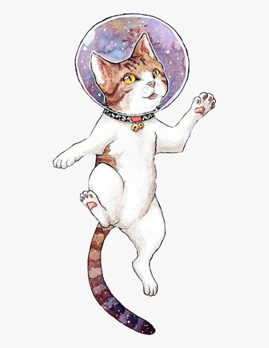 #gato #astronauta #cat #meow #felino #gata #galaxia - Domestic Short-haired Cat, HD Png Download, Free Download
