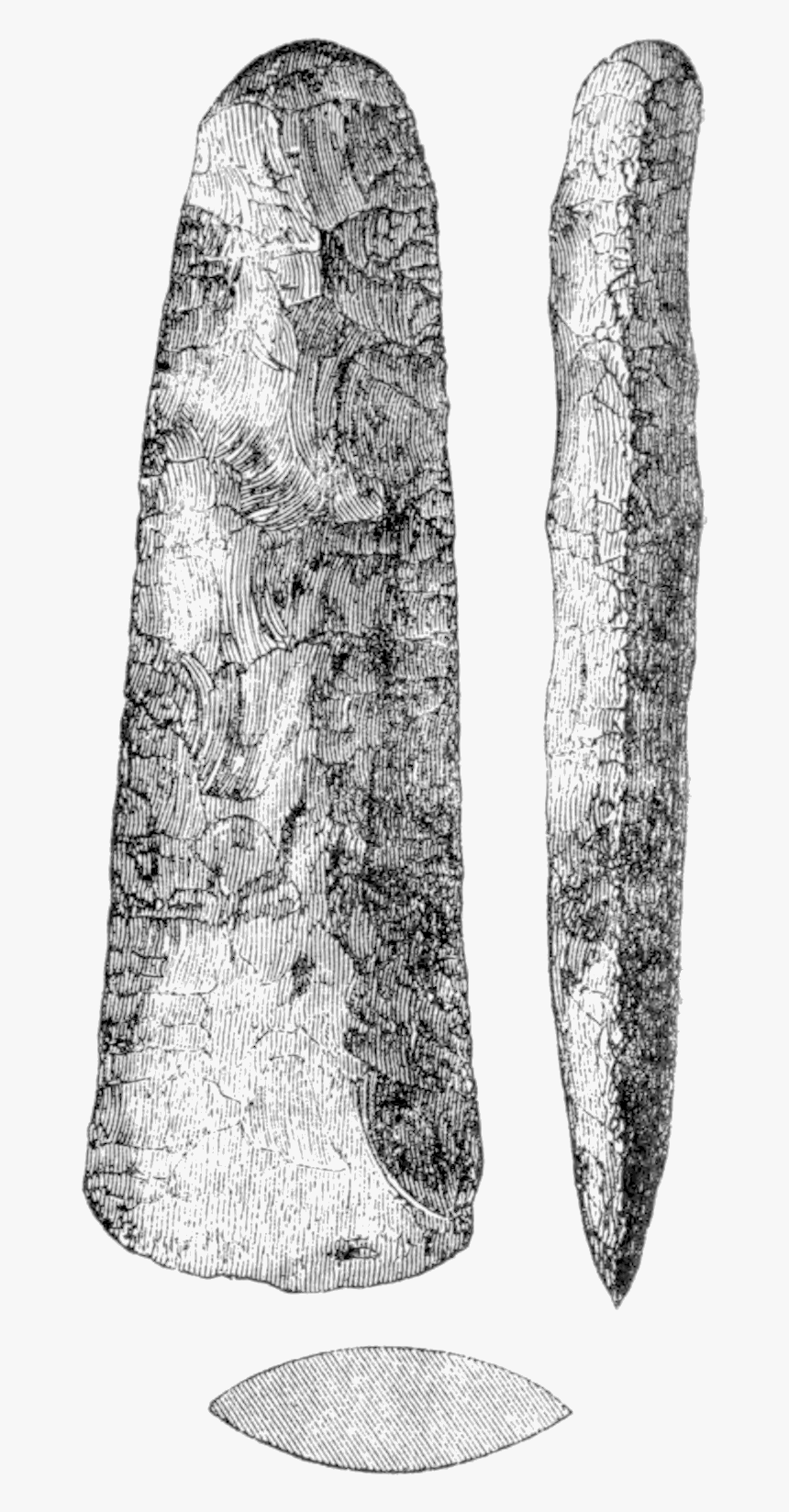 The Ancient Stone Implements 0113 - Swamp Birch, HD Png Download, Free Download