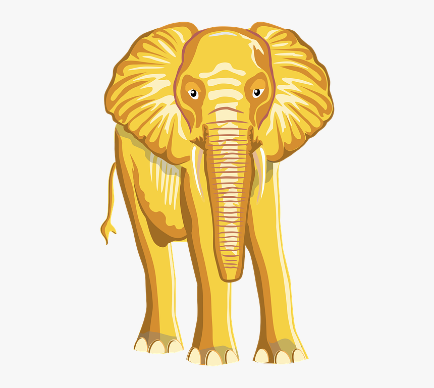 Indian Elephant, HD Png Download, Free Download