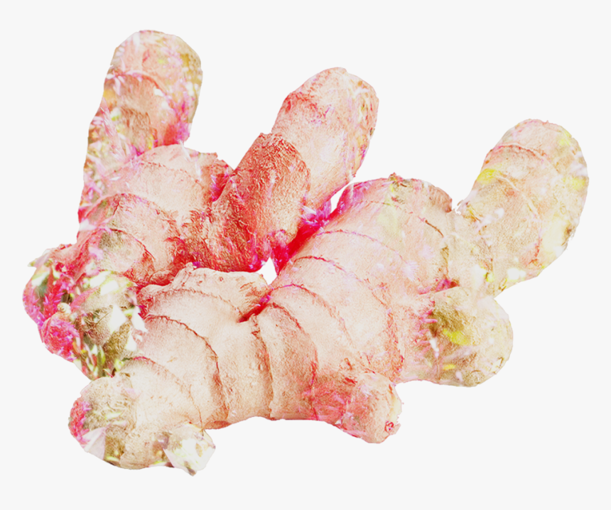 Untitled Design - High Resolution Ginger Root With Green Tea Png, Transparent Png, Free Download