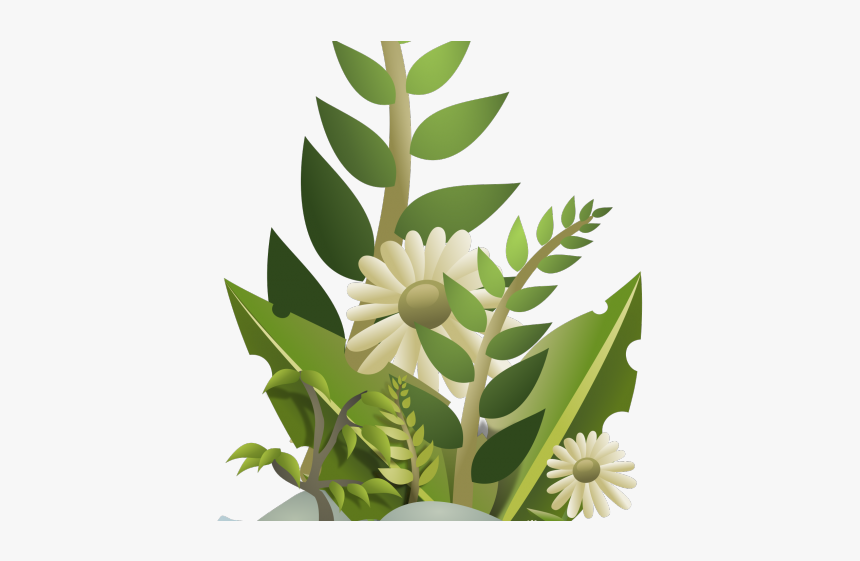 Plant Clip Art, HD Png Download, Free Download