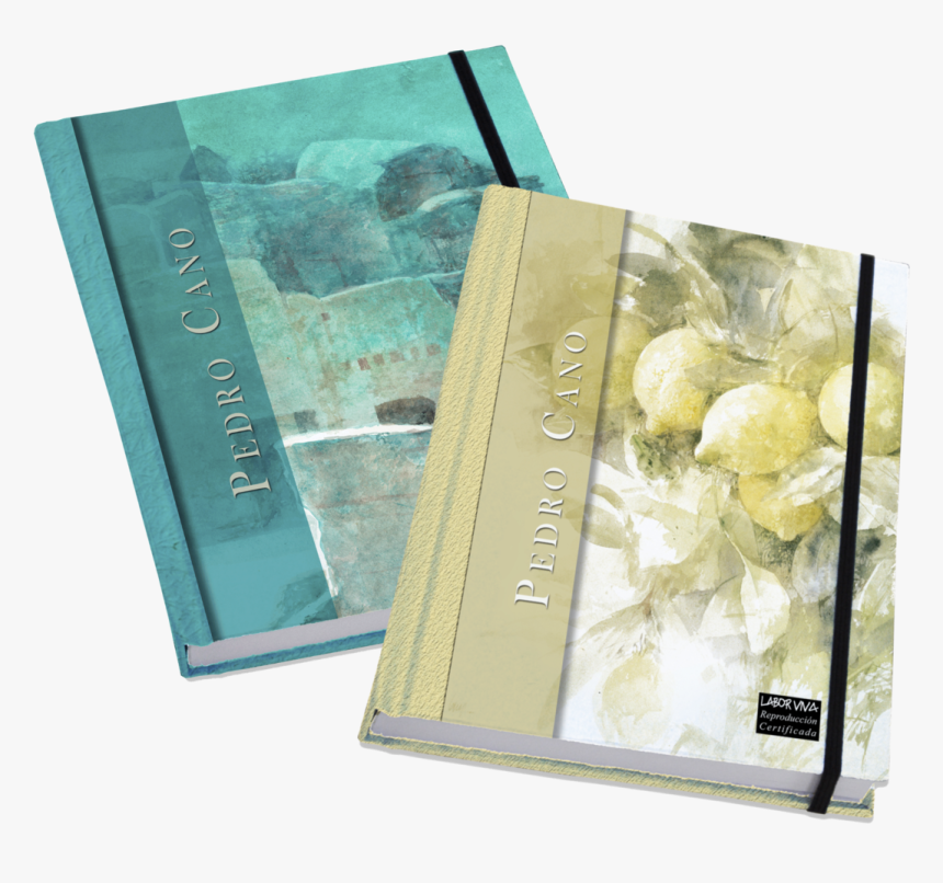 Rose, HD Png Download, Free Download