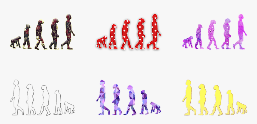 Human Evolution, HD Png Download, Free Download