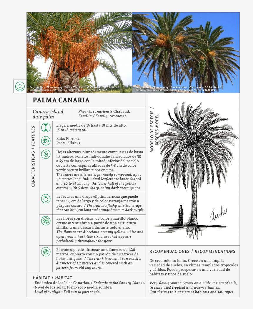 Folio Ten From Burchard Of Sion's De Locis Ac Mirabilibus, HD Png Download, Free Download