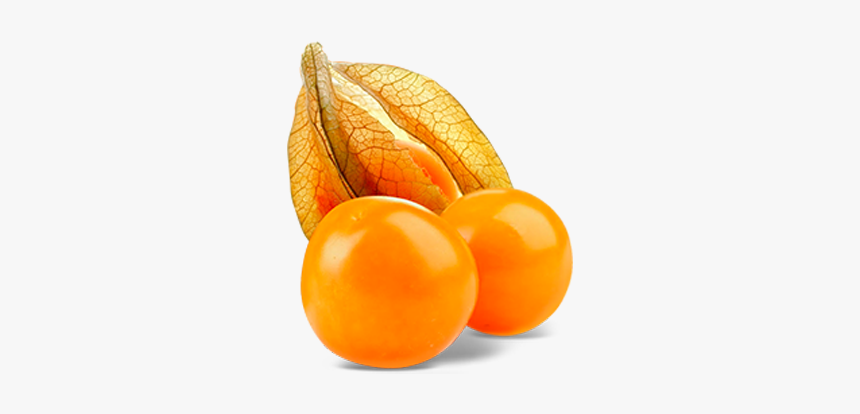 Aguaymanto Png, Transparent Png, Free Download
