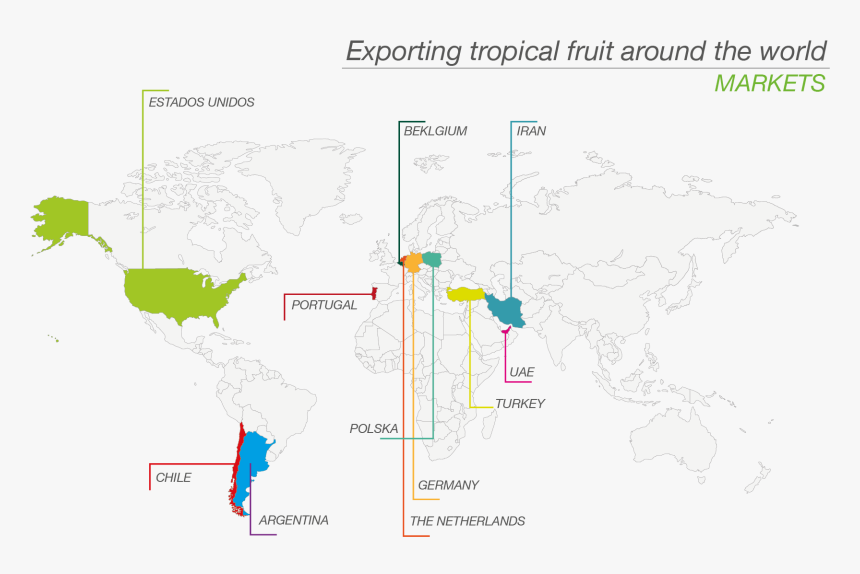 Exportaciones - World Map Wallpaper Black And White, HD Png Download, Free Download