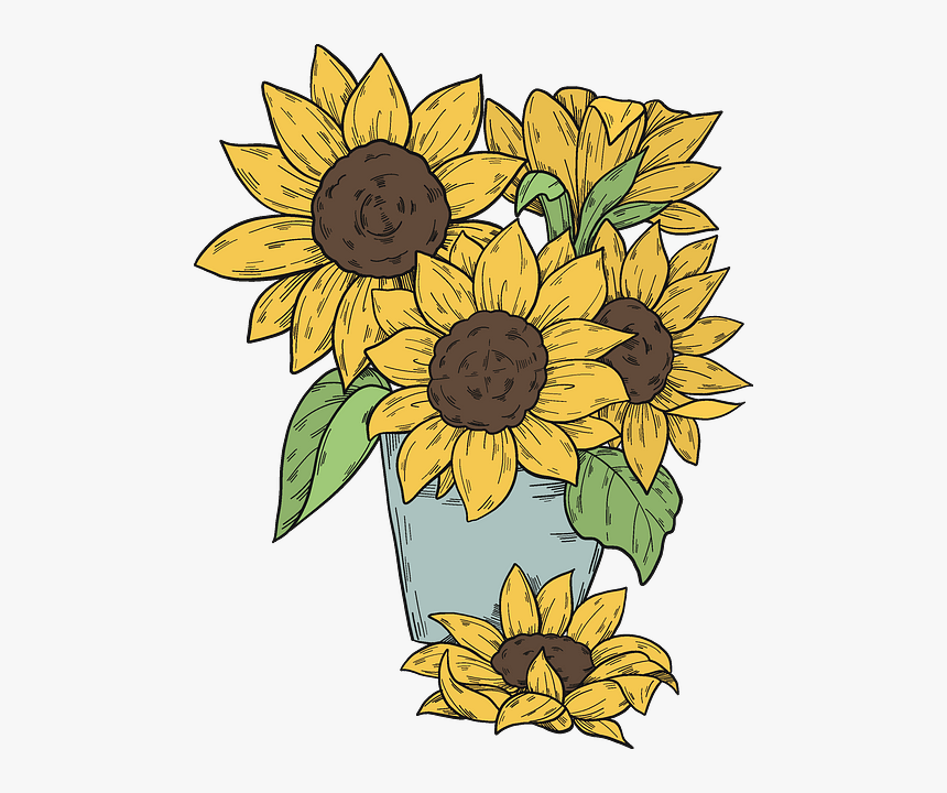 Sunflower, HD Png Download, Free Download