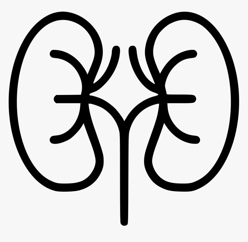 Kidneys - Kidneys Black And White, HD Png Download, Free Download