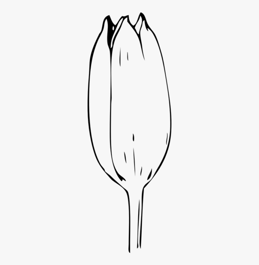 Flower Bud Clipart Black And White, HD Png Download, Free Download