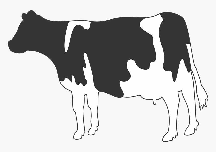 Cow Sticker Png, Transparent Png, Free Download