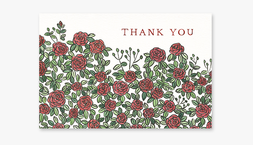 Roses Thanks Post-card - Zinnia, HD Png Download, Free Download