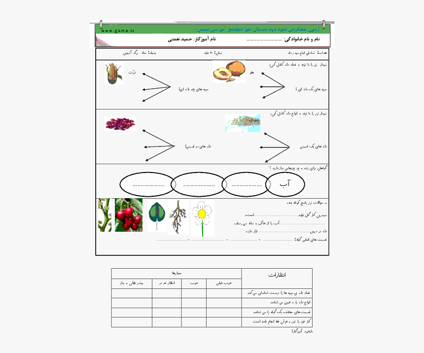 آزمون علوم دوم دبستان, HD Png Download, Free Download