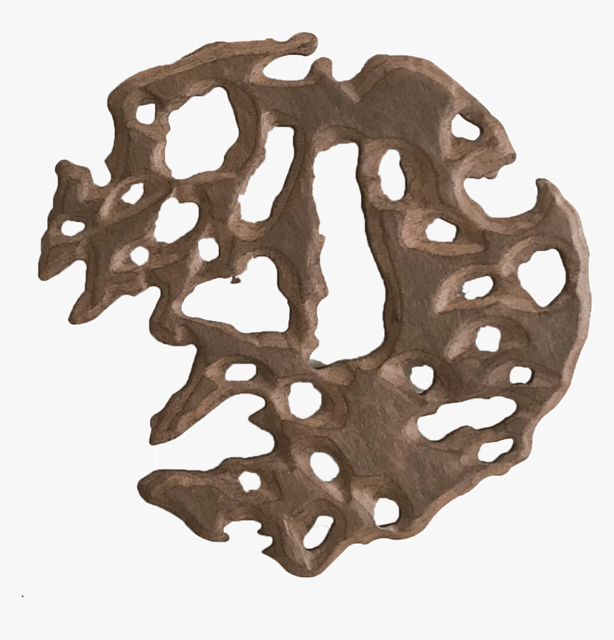 Outdoor Kawakawa - Bicycle Chain, HD Png Download, Free Download