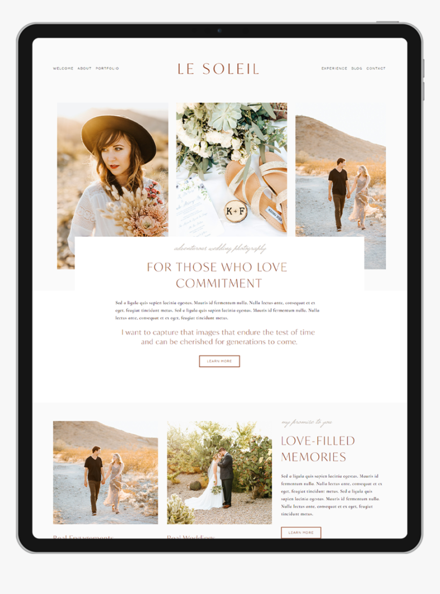 Le Soleil Wedding Squarespace Template Homepage - German Longhaired Pointer, HD Png Download, Free Download