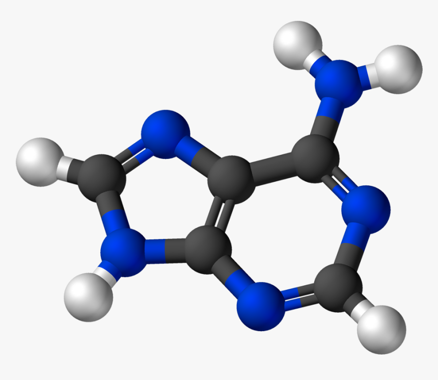 Adenine 3d Model, HD Png Download, Free Download