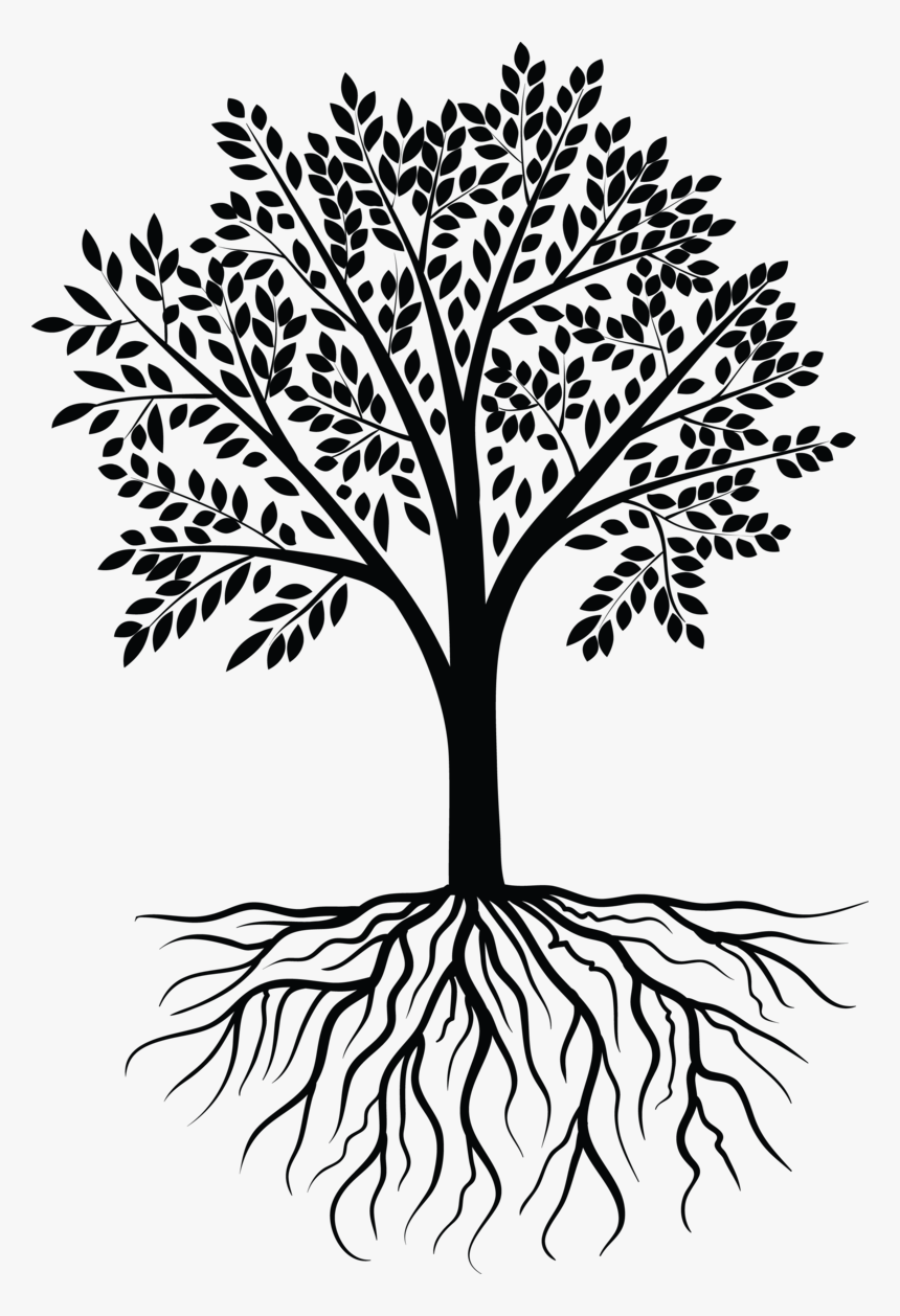 Tree Vector Black White - White Tree Vector Png, Transparent Png, Free Download