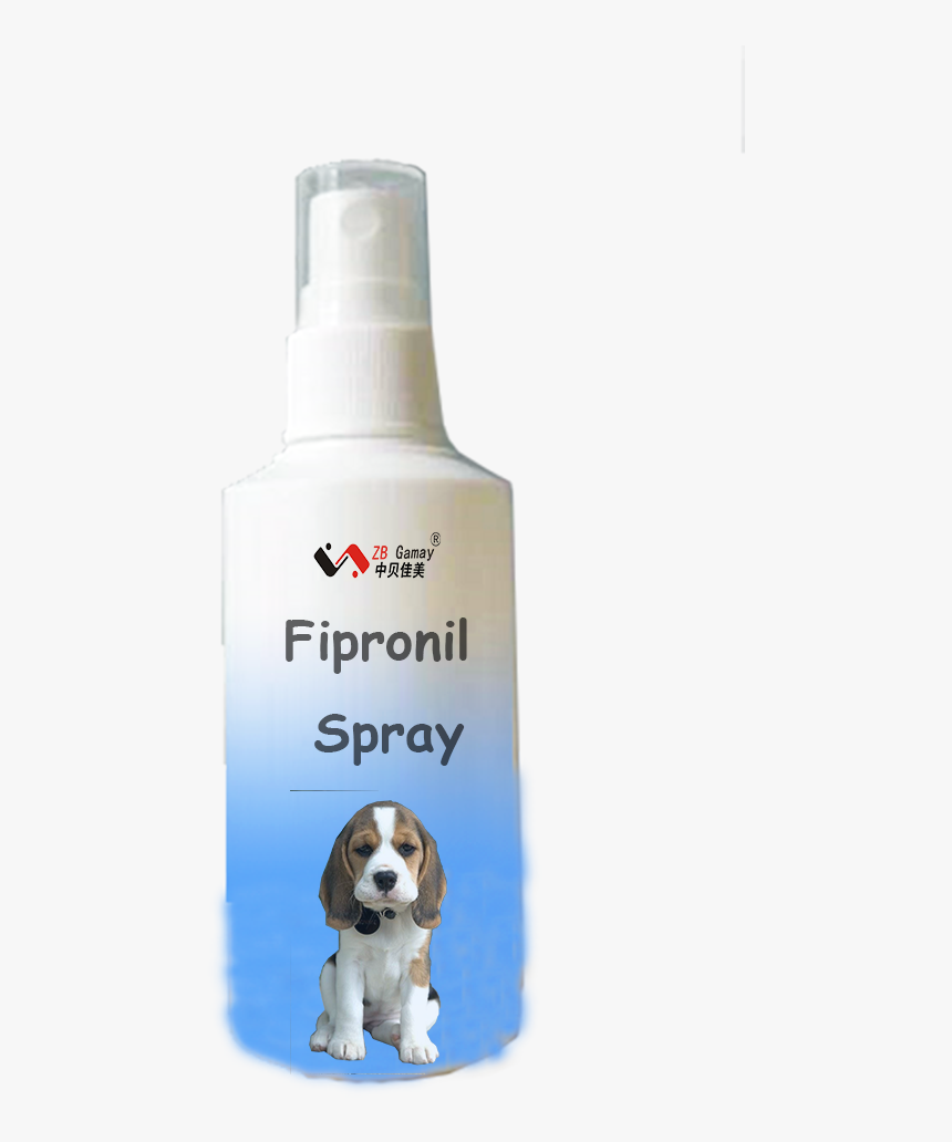 Beagle, HD Png Download, Free Download
