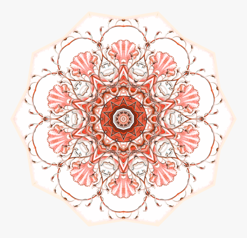 Pink,visual Arts,symmetry - Circle, HD Png Download, Free Download