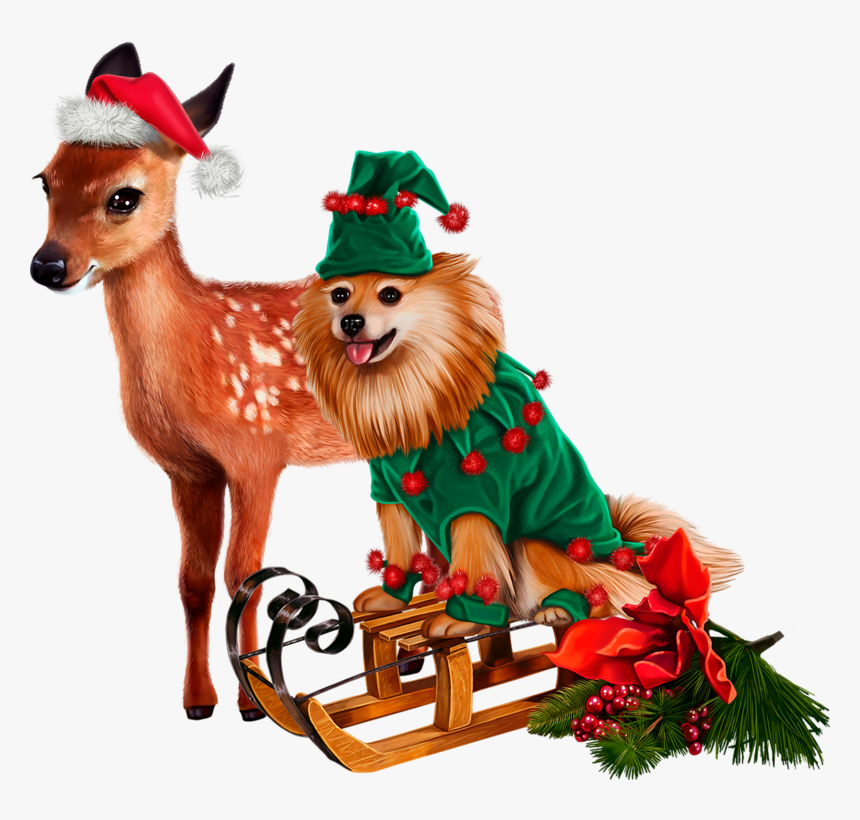 Pets Clipart Gog - Transparent Transparent Background Christmas Images, HD Png Download, Free Download
