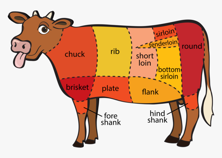 Beef Vector Butcher Diagram - Different Meats On A Cow, HD Png Download, Free Download