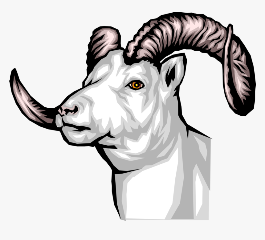 Vector Illustration Of Thinhorn Dall Sheep Head And - Clip Art, HD Png Download, Free Download