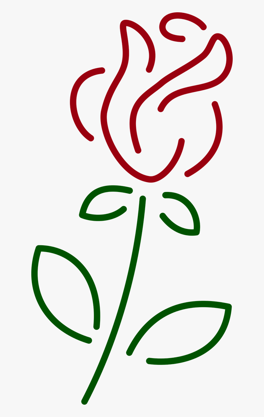 Beauty Flower Green Free Picture - Line Rose, HD Png Download, Free Download