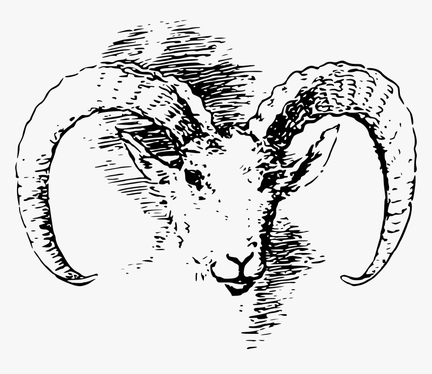Transparent Lamb Head Clipart - Ram Vintage Print, HD Png Download, Free Download