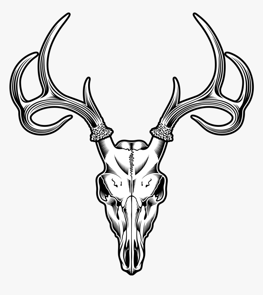 Sheep Tattoo Skull Deer Illustration Drawing Clipart - Deer Skull Clipart, HD Png Download, Free Download