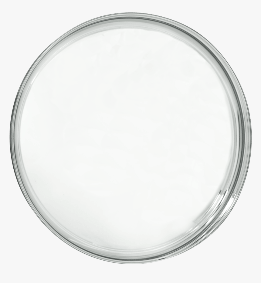 Serving Tray Png, Transparent Png, Free Download