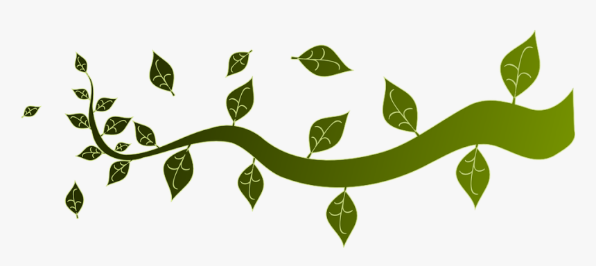 Transparent Folhas Png - Vector Tree Branches Png, Png Download, Free Download